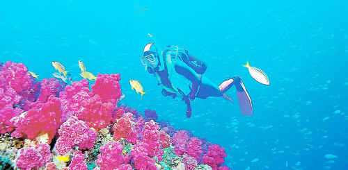 The Solitary Islands Marine Park. The Solitary Islands Marine Park.